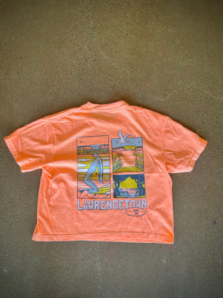 Sisc Daily Beach Scene Crop top Neon Cantaloupe