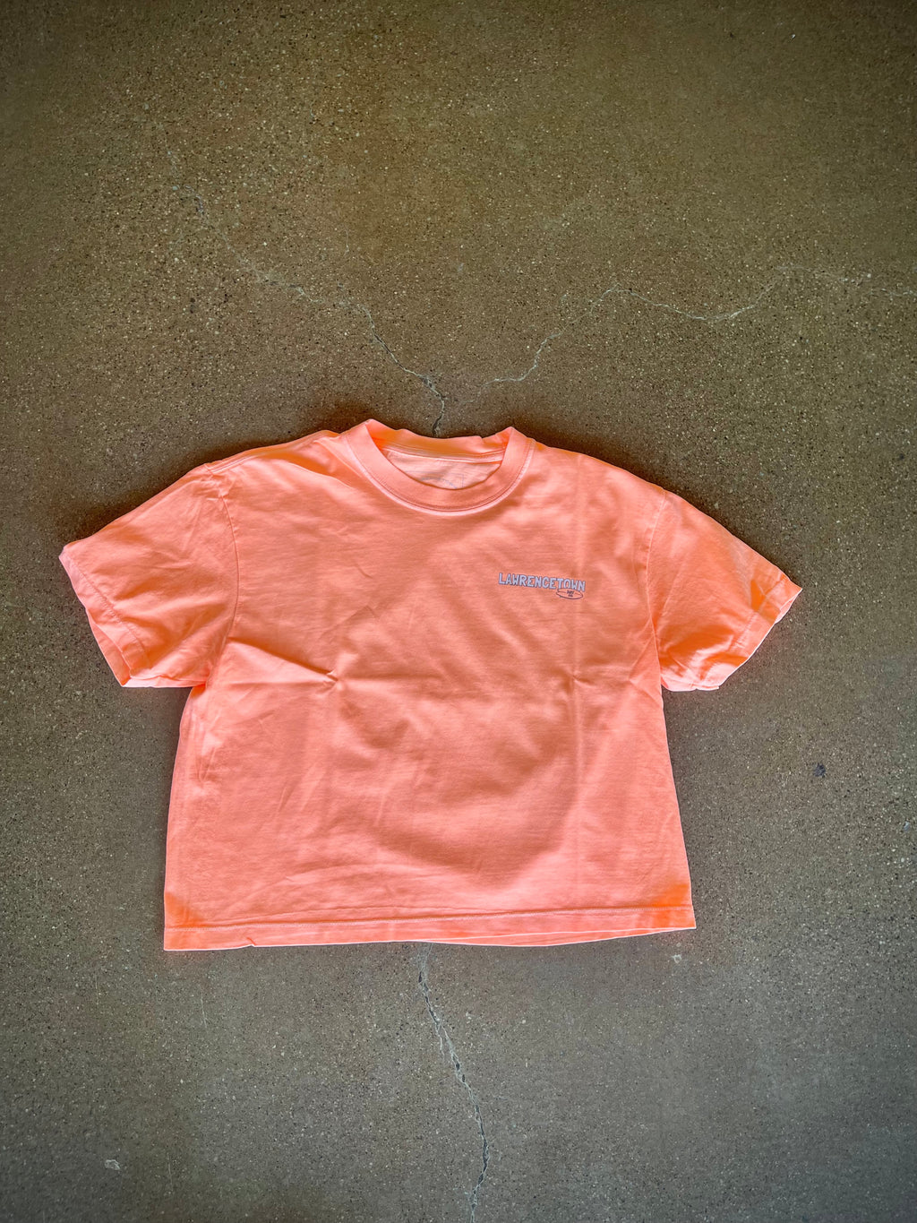 Sisc Daily Beach Scene Crop top Neon Cantaloupe