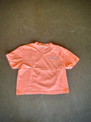 Sisc Daily Beach Scene Crop top Neon Cantaloupe